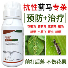 蓟马蚜虫药杀虫药高抗性蓟马专用杀虫剂杀虫杀卵100ml30ml 100ml