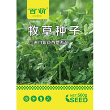 紫花苜蓿草种自营 商品搜索 京东