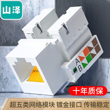 山泽（SAMZHE）超五类网络模块 CAT5e网线插座面板模块 RJ45水晶头母座电脑网线连接头 WAN-04