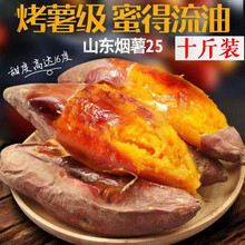 山东烟薯25号 红薯新鲜 黄心烤富硒地瓜沙地烟台蜜薯糖心超甜 10斤