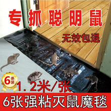 粘鼠魔毯粘鼠板老鼠贴强劲捕鼠器家用大耗子粘贴餐厅厨房驱鼠工厂仓库商用灭鼠工具  娴居媛 1.2米长粘鼠毯 6张装