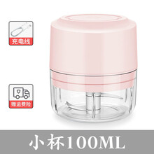 FEDAIR家用绞肉机小型迷你捣蒜泥神器多功能辅食搅拌绞馅机料理机 殷桃粉 电动绞肉机200ML【三刀叶】