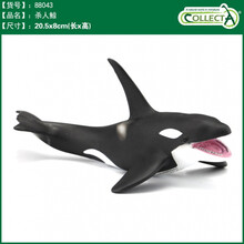 英国CollectA我你他仿真海洋动物模型玩具鲨鱼鲸鱼南北极认知合集 88043虎鲸