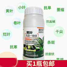 一喷绿花卉果树蔬菜叶面肥果树一遍绿叶绿素生长素黄叶死苗一喷绿 1000ml（送量杯1套）