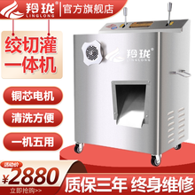 羚珑 商用绞肉机 切菜机强力切片机灌肠机 不锈钢加厚大功率切肉机绞切两用台式机切丝机 升级钝化款(顶配2200w)