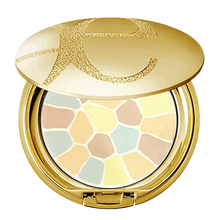 【日本直邮】ALBION奥尔滨Elegance雅莉格丝 E大饼欢颜蜜粉饼定妆提亮修容遮瑕控油防水散粉 便携装3号哑光自然色8.8g