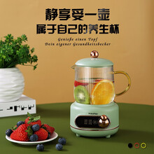 海牌迷你养生杯500毫升HP-Y36A