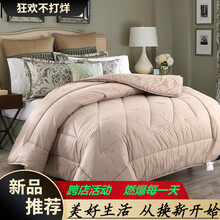 睿圣 驼毛被子 全棉加厚驼毛冬被 被子单人保暖双人驼绒被芯 棉被 冬天被子被褥 厚被子 沙洲 ——驼 2x2.3米 6斤