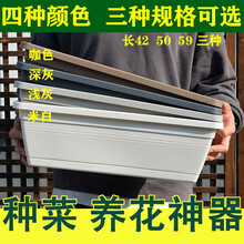 瑾园花盆种菜盆长条花盆圆形花盆月季家庭阳台种植箱种菜神器长方形特大蔬菜种植槽 长方形小号长42*宽16*高13cm 米白色配托盘