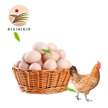 九万鹏鸡蛋新鲜产地直发初生蛋土鸡蛋新鲜笨鸡蛋月子蛋 45枚鸡蛋
