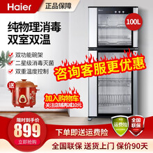 海尔（Haier）立式消毒柜双门小型迷你80/100升厨房消毒碗筷柜 光波物理消毒 二星级 不锈钢 100升