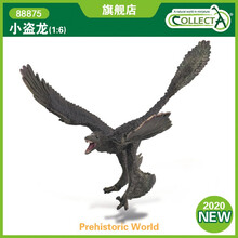 英国CollectA我你他史前侏罗纪恐龙模型玩具88875小盗龙2020新款 1:6小盗龙