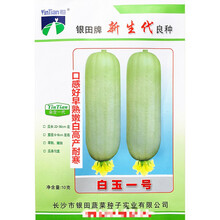 白玉一号丝瓜种子口感好早熟嫩白高产耐寒农家大田大棚春秋播精选 白玉一号原装10克