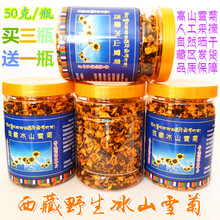 西藏冰山雪菊王50g青藏高原自然野生高山血菊花茶降暑养生茶定制