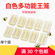 蜂具大全养蜂专用工具蜂箱全套蜜蜂王笼囚王笼中蜂蜂王关王笼中蜂