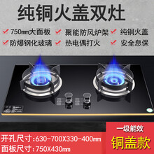日本樱花煤气灶双灶家用天然气嵌入式灶具猛火灶液化气台式燃气灶 聚能防风+蓝火+铝合金边5.2KW 加大面板750 天然气