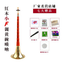 京炫（JINGXUAN)初学者唢呐乐器全套d调成人唢呐碗口老式演奏红木乌木木 红木小F黄碗+7