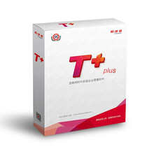 畅捷通 T+标准版V13.0 用友ERP财务 办公记账软件（总账+报表） 2用户 商用