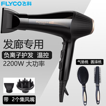 飞科（FLYCO）电吹风2200W大功率负离子吹风筒家用旅行吹风机冷热理发店发廊专用 飞科黑色2200W大功率+【气垫梳套装】