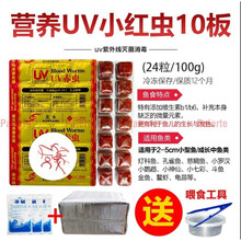 冷冻红虫冰冻血线虫牛心汉堡丰年虾干鹦鹉罗汉七彩神仙龙鱼食饲料 10板多维小红虫送1板