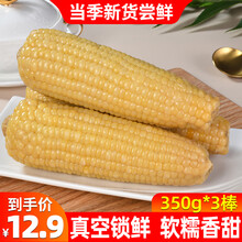 喵乡甜白糯玉米200g*6支装新鲜玉米棒非转基因真空锁鲜甜糯玉米粘黏玉米代餐早餐即食生鲜蔬菜水果粗粮 白糯350g*3支装