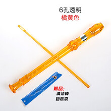 天鹅（SWAN） 6孔8孔儿童学生初学自学入门竖笛六孔八孔树脂笛子八孔六孔竖笛子 橘色6孔竖笛