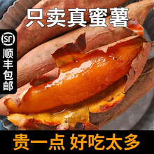 红薯新鲜农家番薯烤地瓜山东沙地烟薯25号糖心5红心蜜薯10斤 2500g 中果