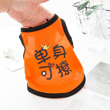 抖音同款猫咪衣服春秋薄款网红潮牌可爱小猫衣服幼猫小奶猫英短蓝猫布偶猫橘搞笑猫衣服搞怪宠物猫衣服春秋装 单身可撩 M (建议6-9斤)