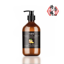 水爱丽 生姜王 洗发水 发防发老姜王控油去屑长头发液 洗发水1瓶 500ml