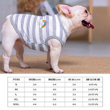哈比噜比宠物狗狗夏季衣服彩虹T恤两脚裤薄款中小型犬法斗泰迪服饰背心 彩虹背心 灰色 L