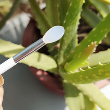 【盒装】硅胶唇刷便携款唇膜刷唇膏刷涂抹棒涂抹棒化妆刷套装唇刷 透明白 2支 送 1个收纳盒