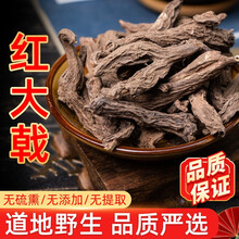 红大戟中药材500克 野生特级红大戟 红芽大戟 紫大戟搭配芫花 古养斋 红大戟500克
