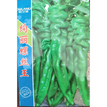 绚丽36螺丝椒辣椒种子欧兰德薄皮大果高产螺丝椒种子籽辣椒种子孑 1000粒【绚丽螺丝王】特大加长型