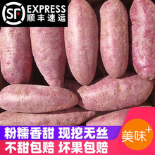 娇瑰 精选品质 紫薯新鲜现挖山东紫罗兰5斤大果农家自种沙地10小个地瓜紫心番薯【坏果包赔】 大果(顺丰，坏果包赔) 5斤