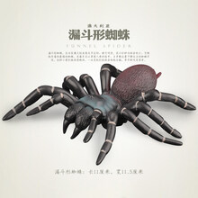 2021新款仿真昆虫模型 儿童玩具动物 蝴蝶蜜蜂蝎子蚱蜢螳螂蜻蜓蜘蛛蜥蜴 漏斗形蜘蛛【2020新款 世界上致命的蜘蛛之一】