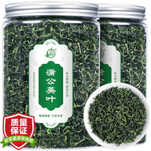 馨诺 蒲公英叶 精选长尖颗粒可搭金银花菊花 花草茶 罐装蒲公英叶80g