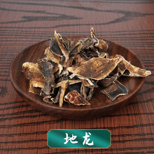 地龙 1g 抓中药材 药房发货 可代煎 联系客服 1g
