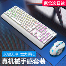 暴狼客发光游戏键盘鼠标套装有线悬浮机械手感键鼠套装台式电脑笔记本外接USB键盘办公家用 白色彩虹键盘+机械蛇金属底白鼠标