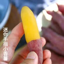 梓乐果 红薯新鲜5斤临安正宗天目山小香薯紫薯蜜薯农家自种番薯山芋地瓜 1斤 小果