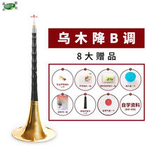 唢呐乐器 初学者入门小号自学索拉唢呐全套民间喇叭演奏 乌木降B调黄碗＋八大品