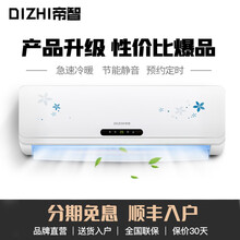 帝智（DIZHI）定频 家用空调挂机 壁挂式 静音节能省电独立除湿 简约百搭 大1.5匹单冷 不提供安装服务