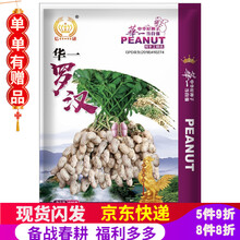 凤鸣雅世 高产紫花生种孑黑花生种子四粒红花生种籽富硒黑花生带壳生的种籽老品种紫皮花生黑粒花生仁种子 华一罗汉花生种子500克4袋优惠价