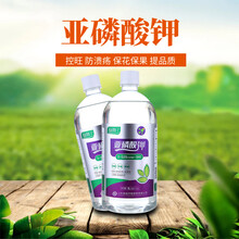 亚磷酸钾果树控梢保花保果上色膨果高钾叶面肥1000毫升 1升*12瓶