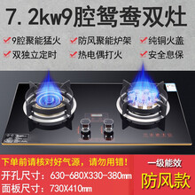 日本樱花草家用煤气灶双灶嵌入式灶具天然气猛火灶台式液化气燃气灶 7.2KW九头鸳鸯(顶配款)双定时 天然气