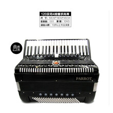 手风琴鹦鹉PARRO T60  96120三排簧四排簧键盘乐器初学入门易学演奏表演定制款 8贝司蓝色22键