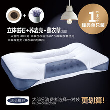 恒源祥同款家纺严选品质 决明子枕头单人荞麦皮护颈椎枕双人枕芯一对装整头成人家用v7 【单只装】浅蓝双边+磁石+荞麦壳+薰衣草枕头