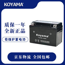 YTX9-BS摩托车电瓶蓄电池适用铃木骊驰GW250F/S DL250 GSX250 GSX250R