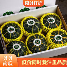 贝贝南瓜板栗味小窝瓜4.5斤礼盒装绿皮小黄心瓜宝宝辅食甜糯蒸瓜 4.5斤礼盒装