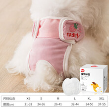 狗尿垫狗狗生理裤加厚尿不湿尿片隔尿片尿布月经裤母狗小型泰迪法斗大姨妈女卫生巾宠物经期姨妈裤 芝芝莓莓+专用护垫30片 XS号(腰围21-32cm)