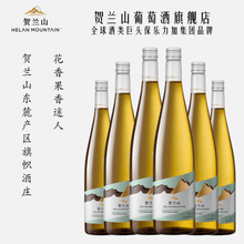 贺兰山特选果香霞多丽白葡萄酒6瓶装(宁夏贺兰山东麓产区)